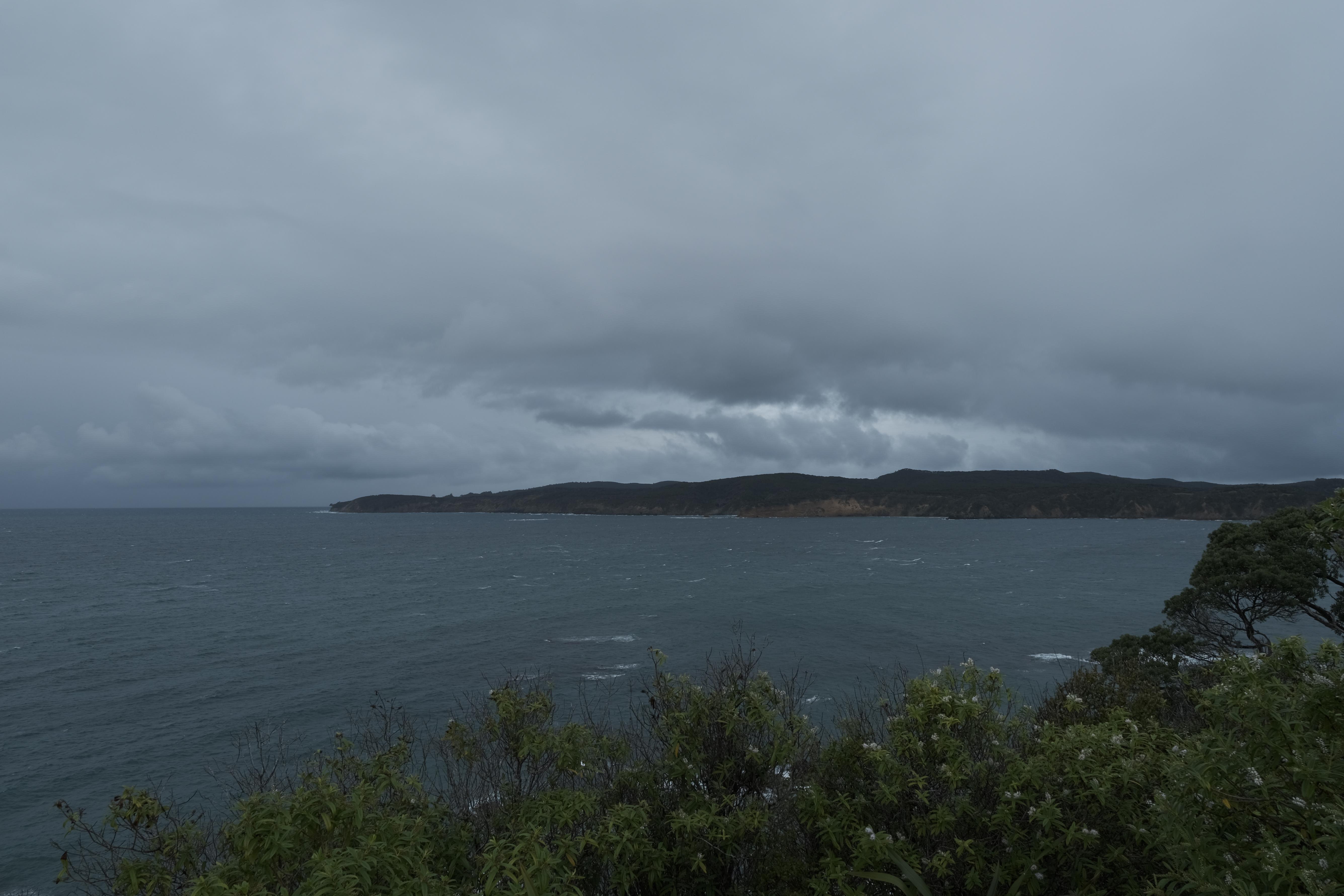 image of ocean with land on the horizon and bushes in the foreground