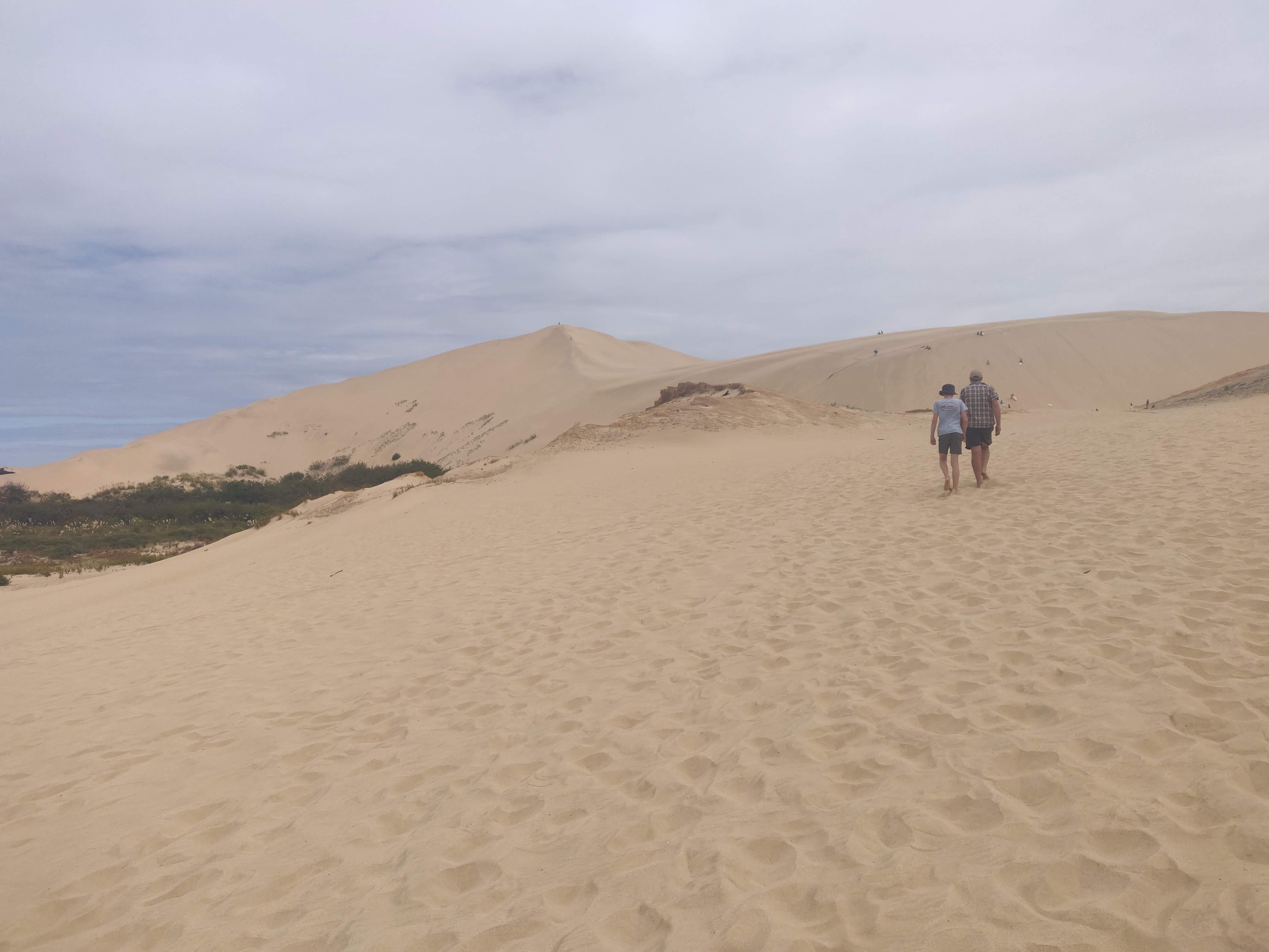 image of a boy and his father walking up desert dunes